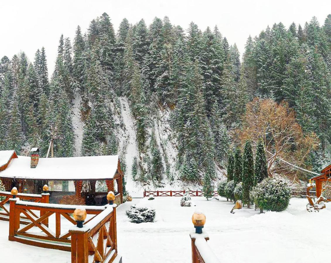 Forest House Tatariv Luaran gambar