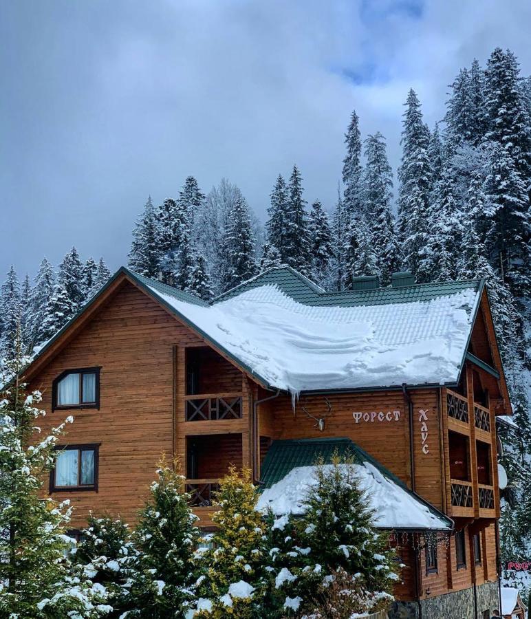 Forest House Tatariv Luaran gambar