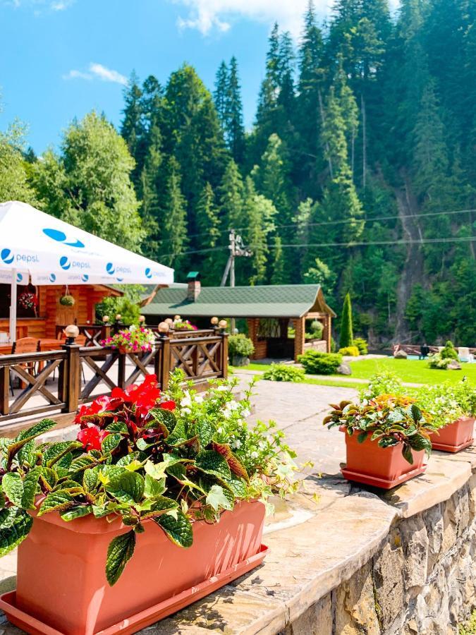 Forest House Tatariv Luaran gambar