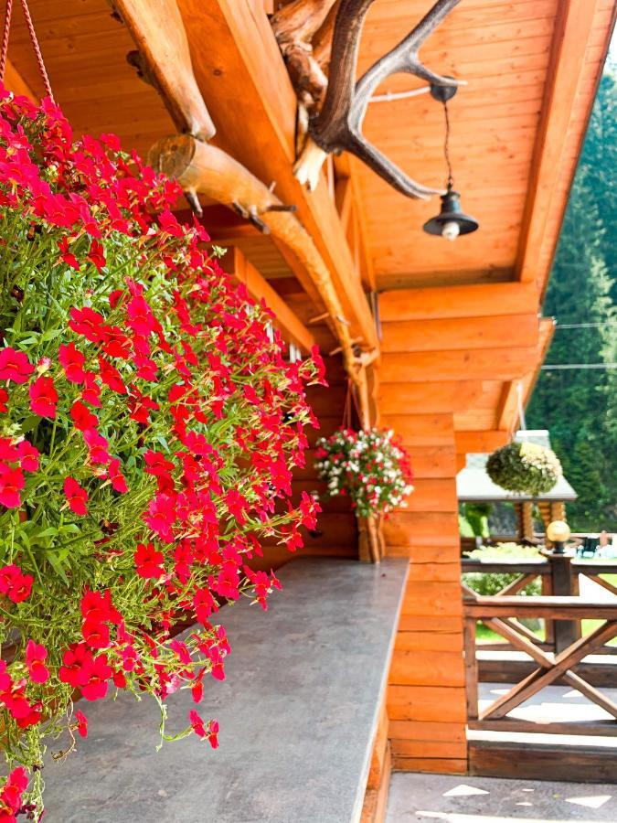Forest House Tatariv Luaran gambar